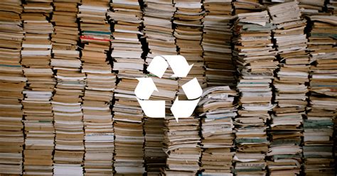 Can You Recycle Books? Exploring the Unlikely Connection Between Literature and Environmental Sustainability